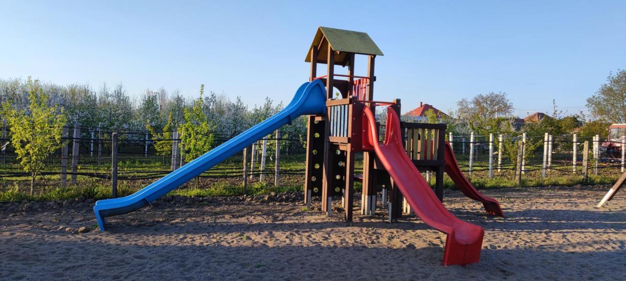 Village Garden Family Guest House Tiszakanyar Bagian luar foto